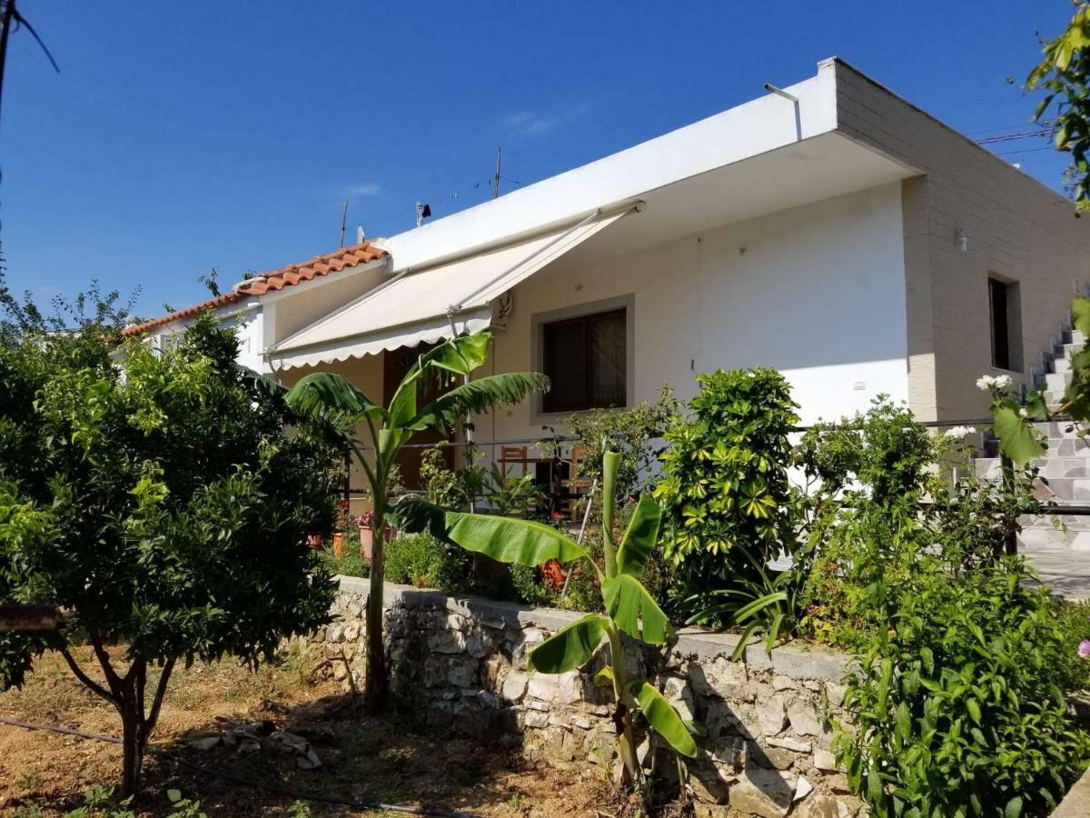 Guesthouse Aleks Ksamil Zewnętrze zdjęcie